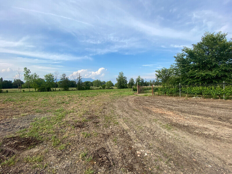 Immagine della proprietà