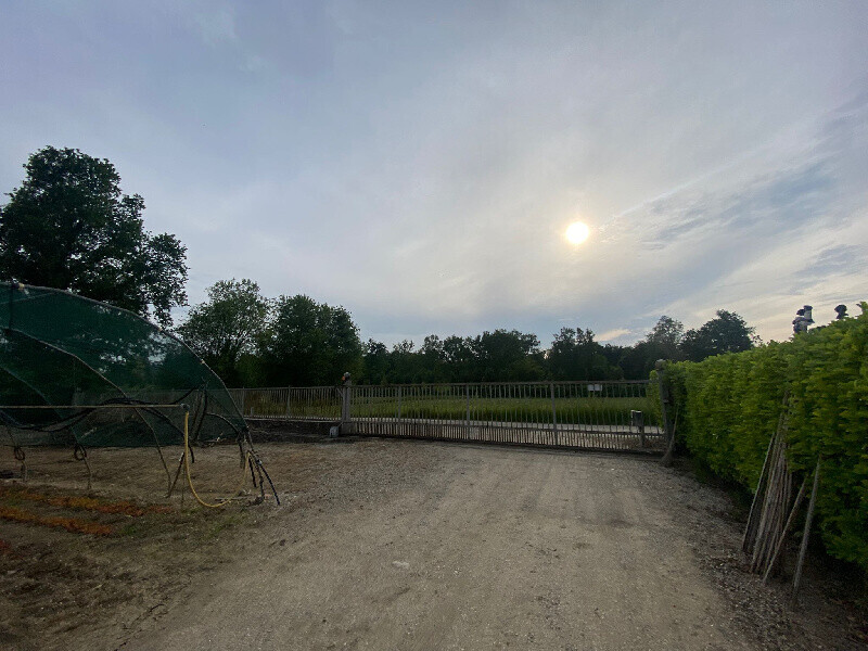 Immagine della proprietà