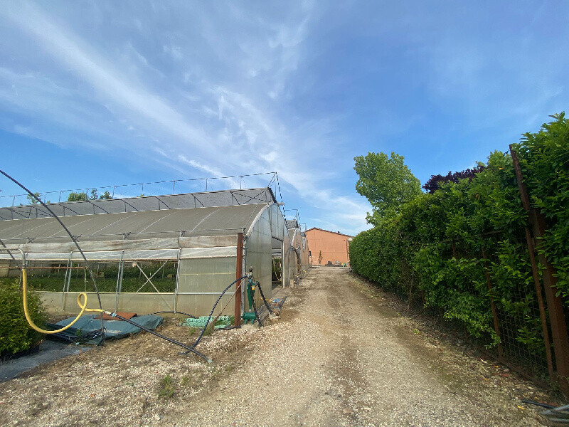 Immagine della proprietà