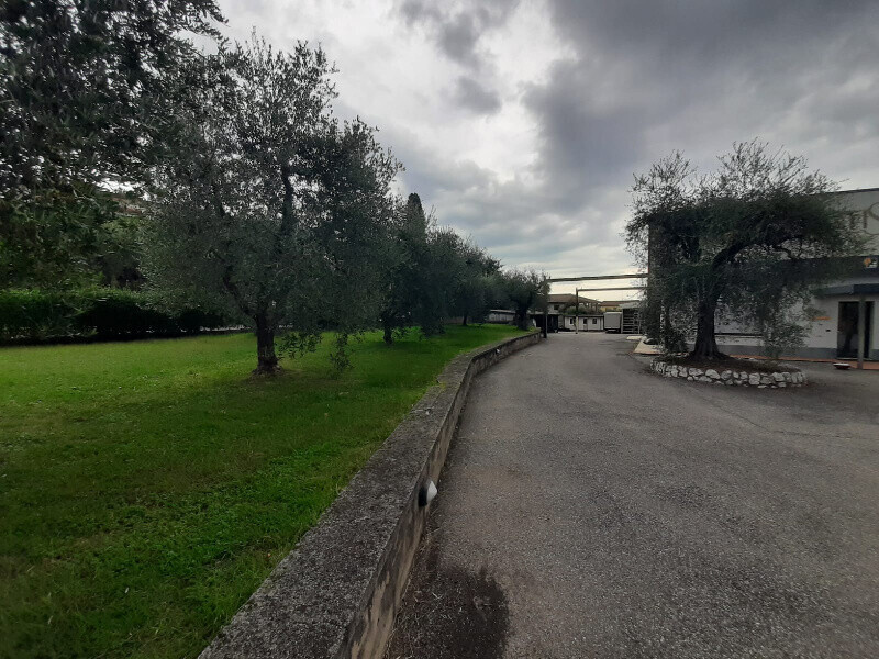 Immagine della proprietà