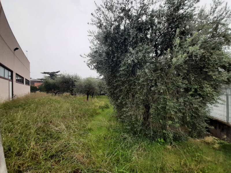 Immagine della proprietà