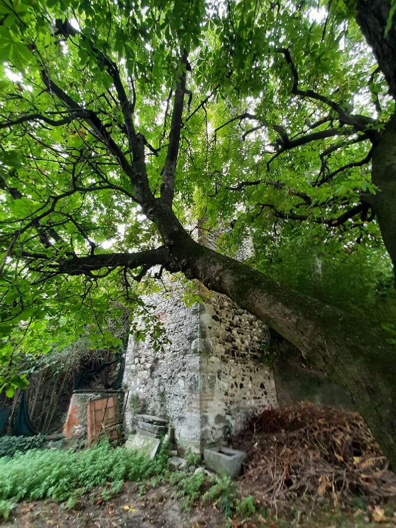 Immagine della proprietà