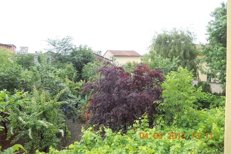 Immagine della proprietà