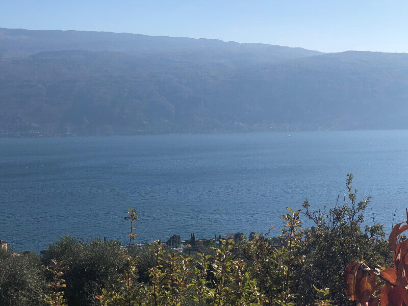 Immagine della proprietà