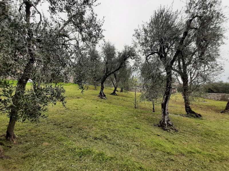 Immagine della proprietà