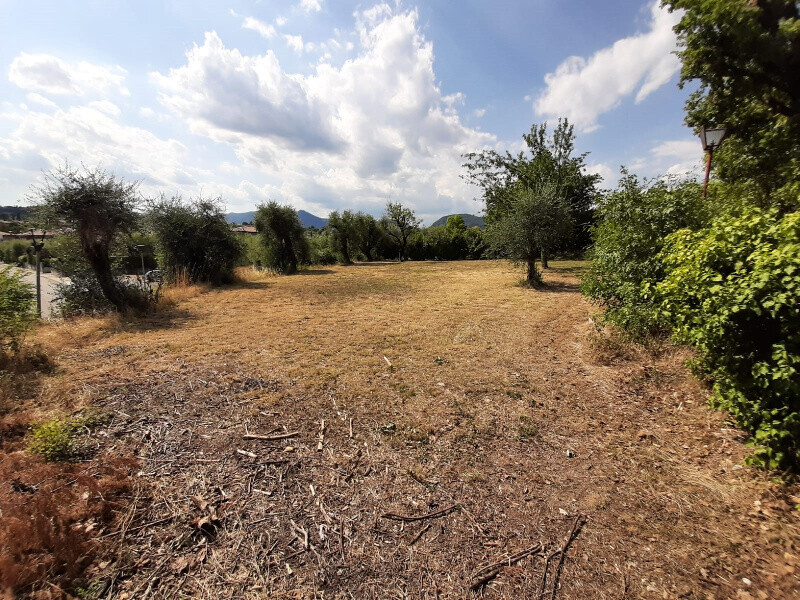 Immagine della proprietà