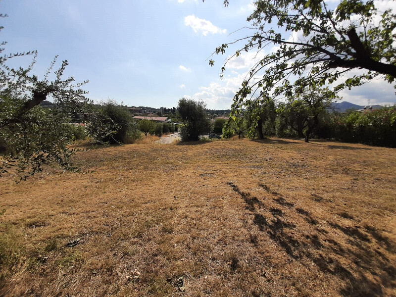 Immagine della proprietà