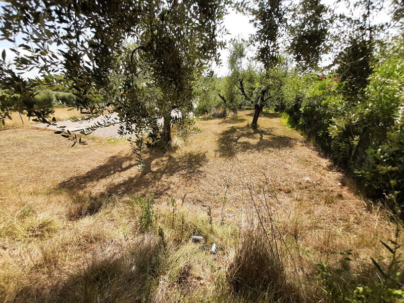 Immagine della proprietà