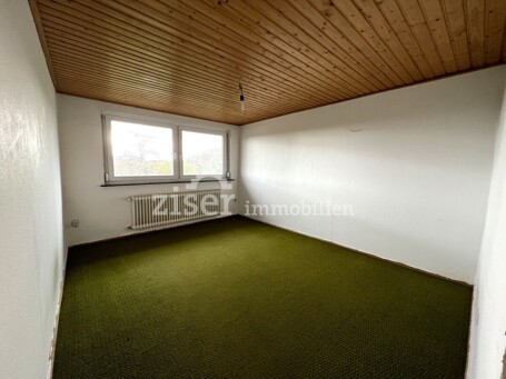 Zimmer DG 2