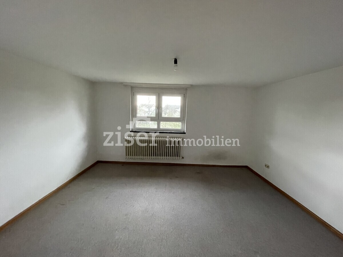 Zimmer DG 1