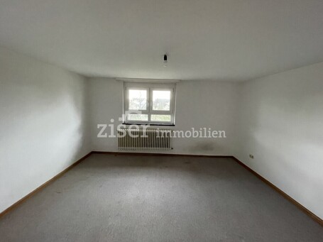 Zimmer DG 1
