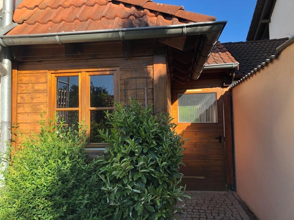 Schuppenansicht