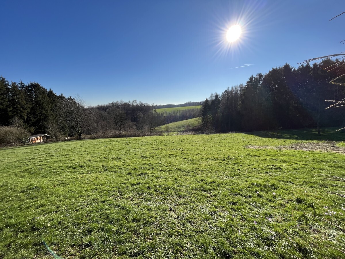 Ist das eine Traum-Aussicht???
