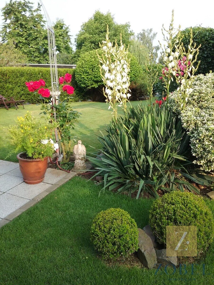 Immobilienbild