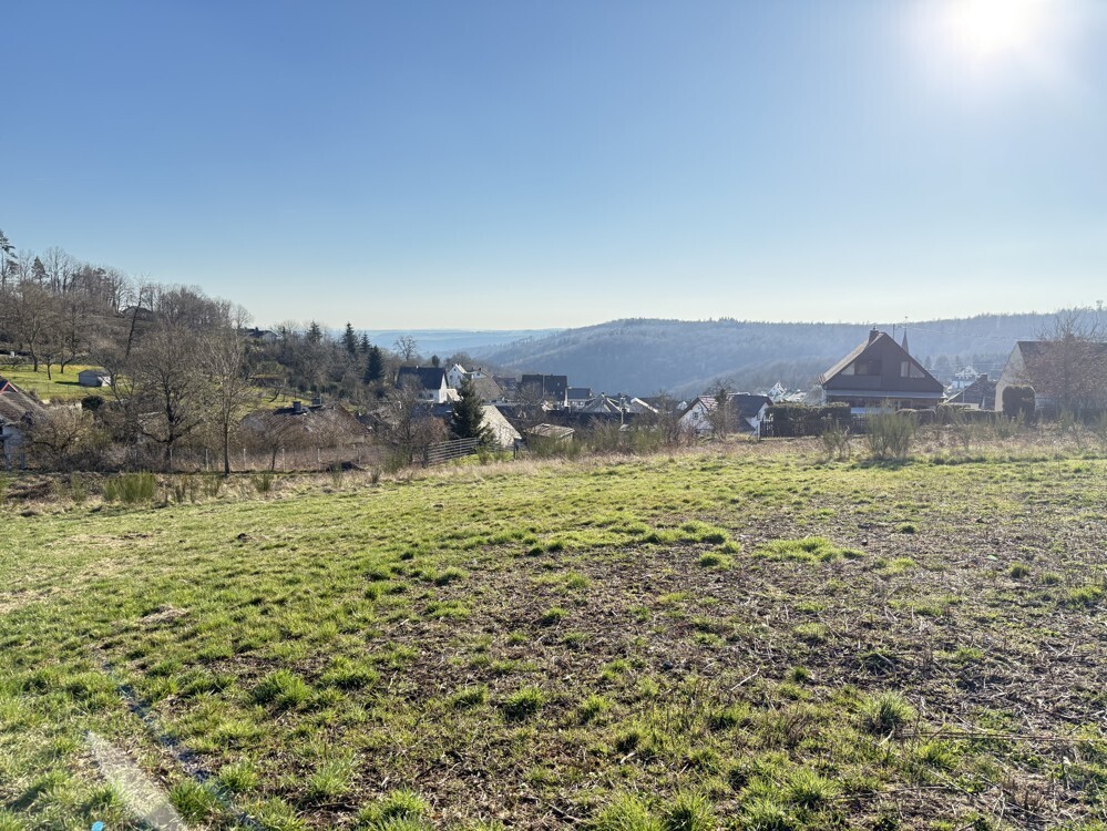 Ausblick