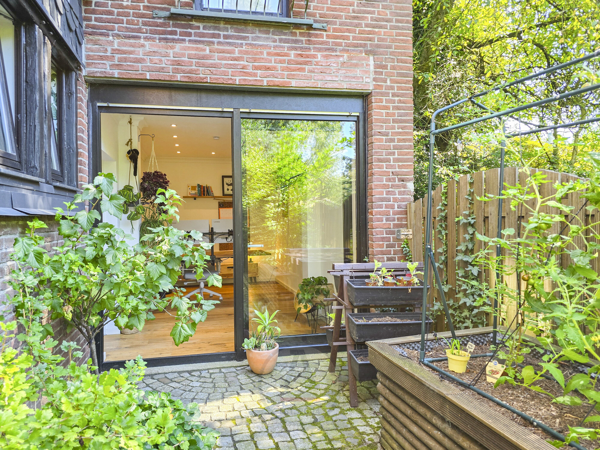 Hochbeet und Blick ins Arbeitszimmer II