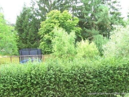 Blick vom Balkon ins Grüne