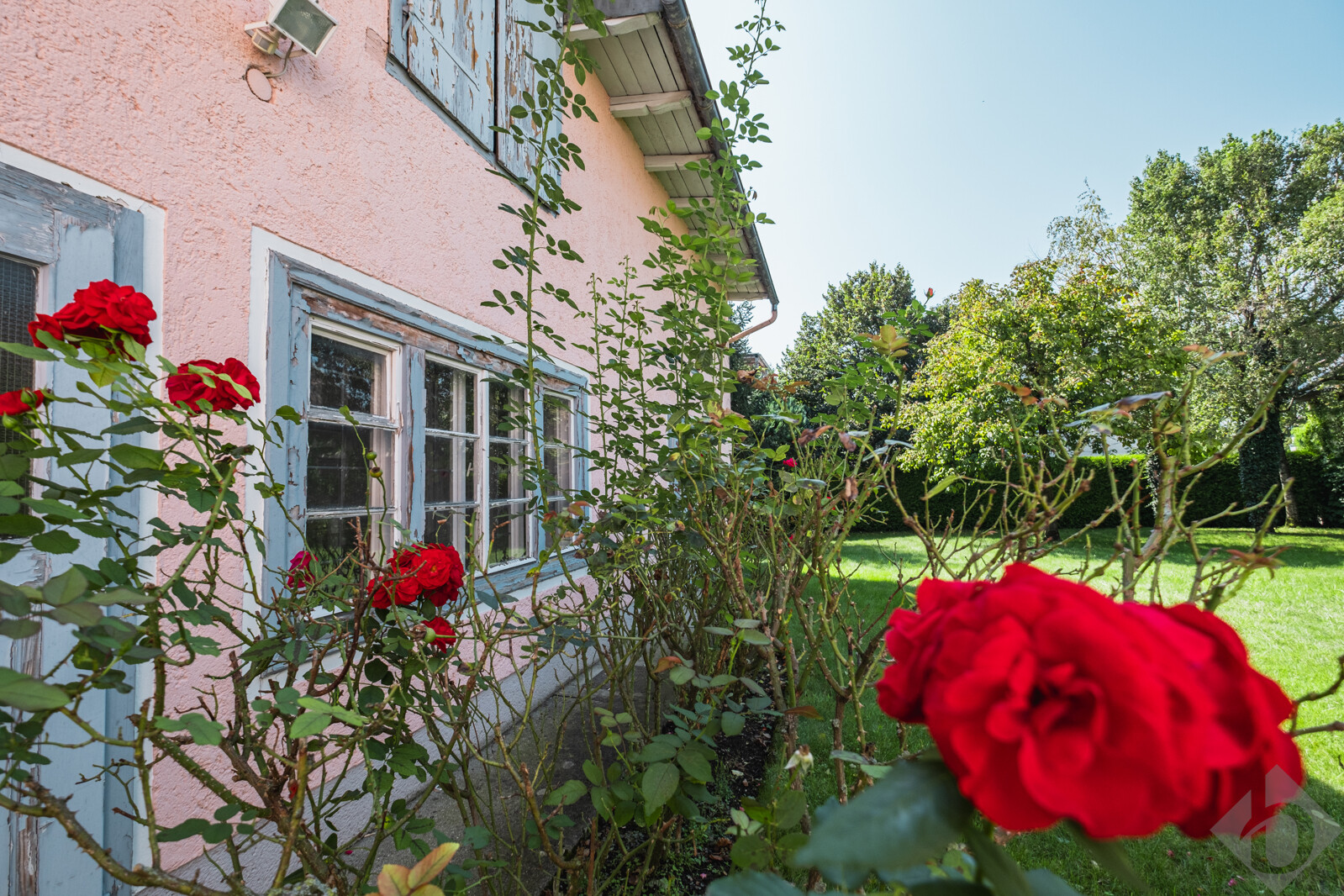 Immobilienbild