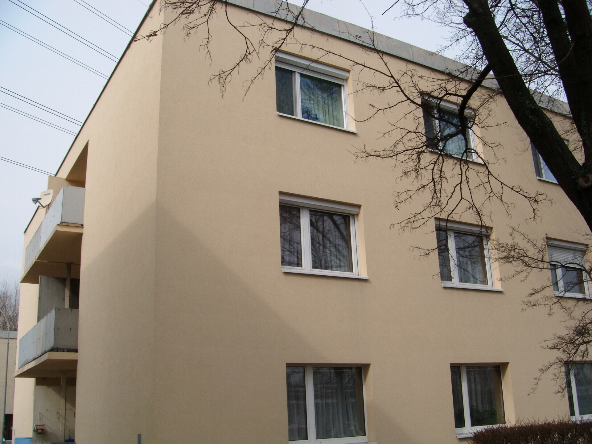 HF.JPG