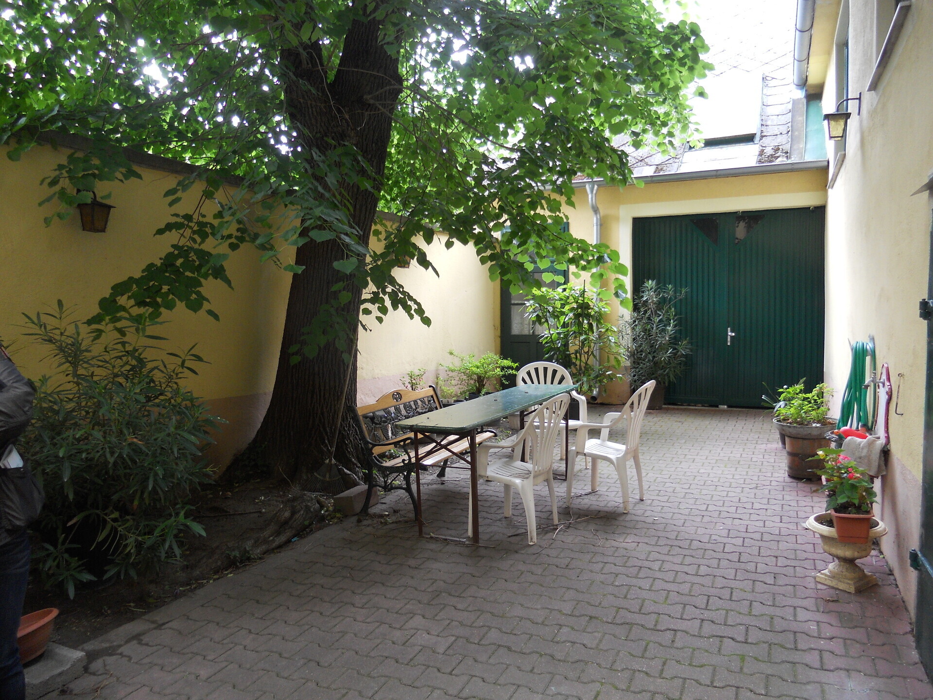 DSCN2591.jpg
