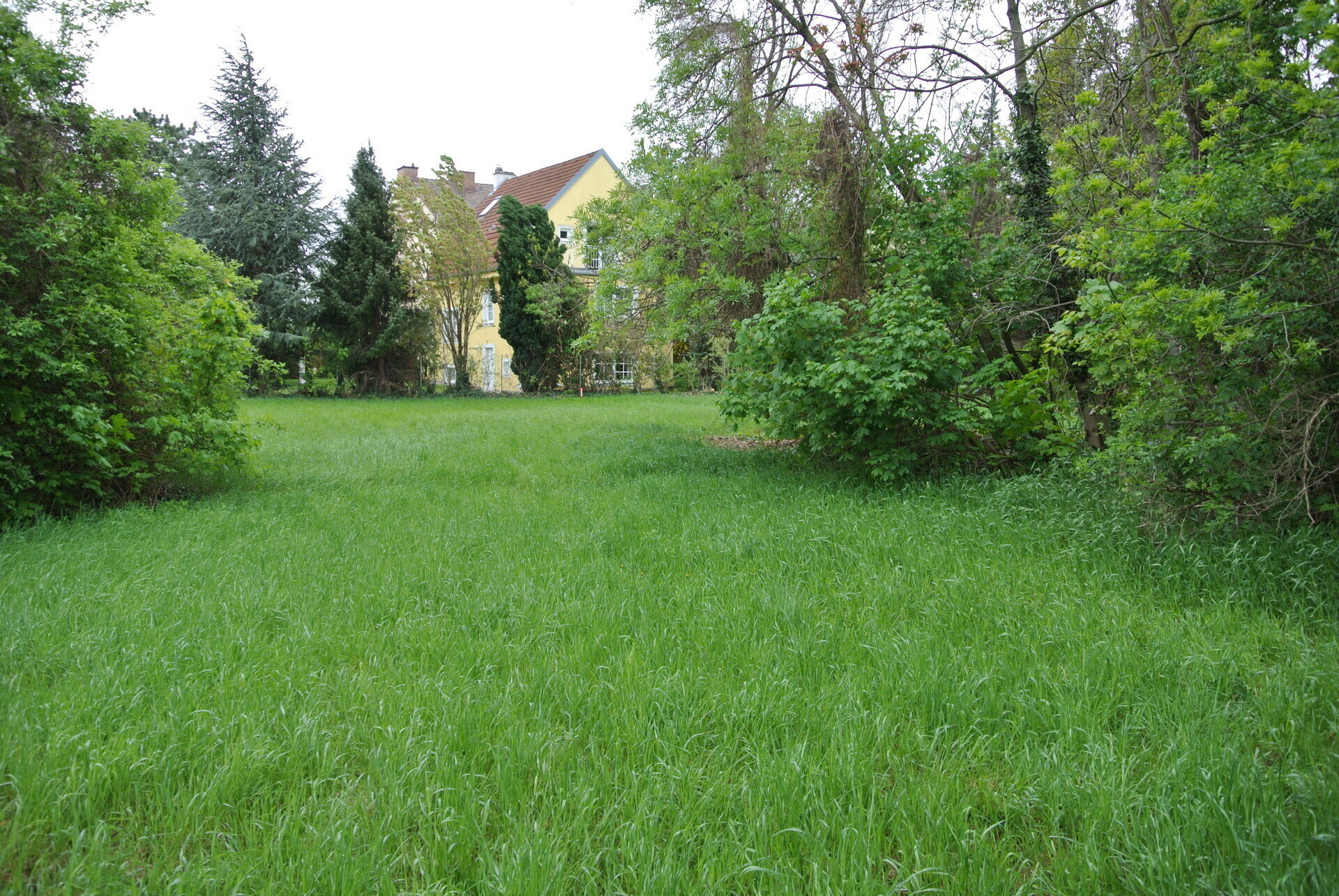 DSC_9937.JPG