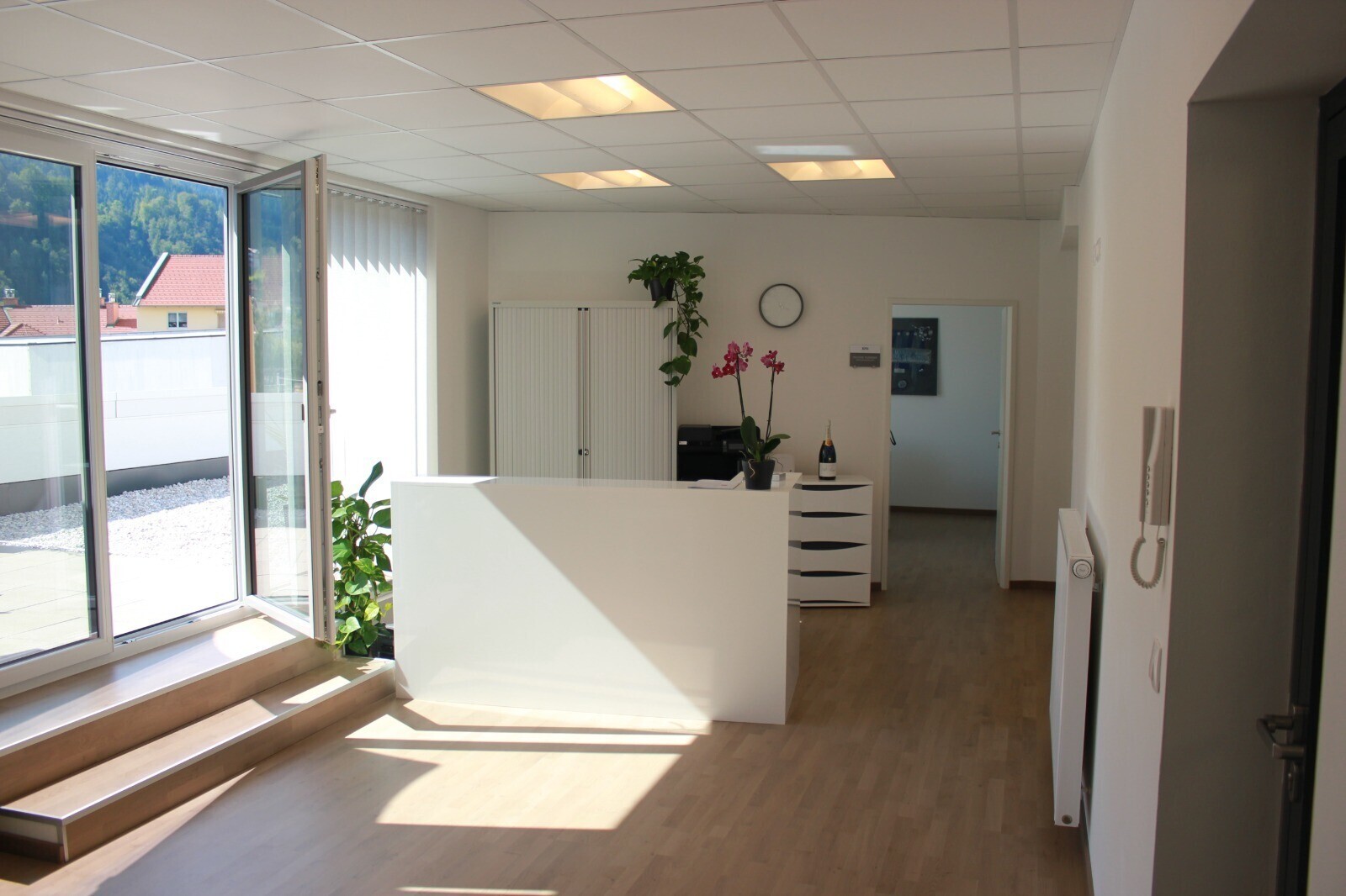 WhatsApp Image 2022-04-06 at 16.31.50.jpeg