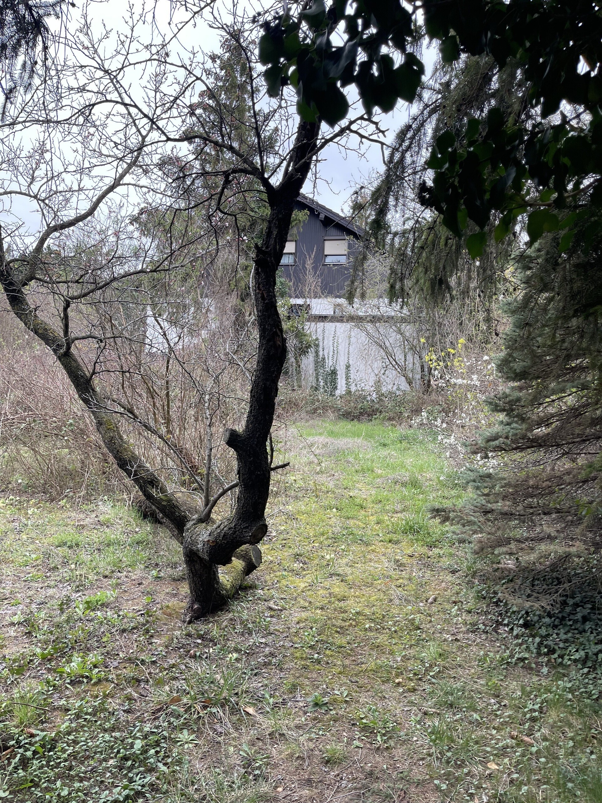 IMG_8092.jpeg