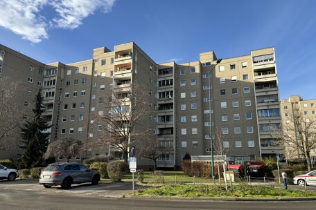 IMG_8111.jpeg