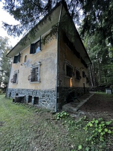 Haus