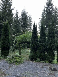 IMG_3447.jpeg