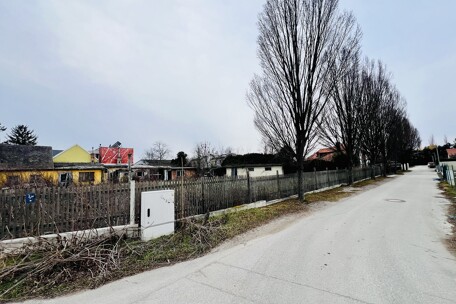 IMG_4123.jpeg