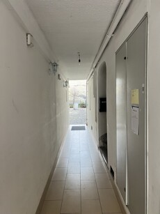IMG_4129.jpeg