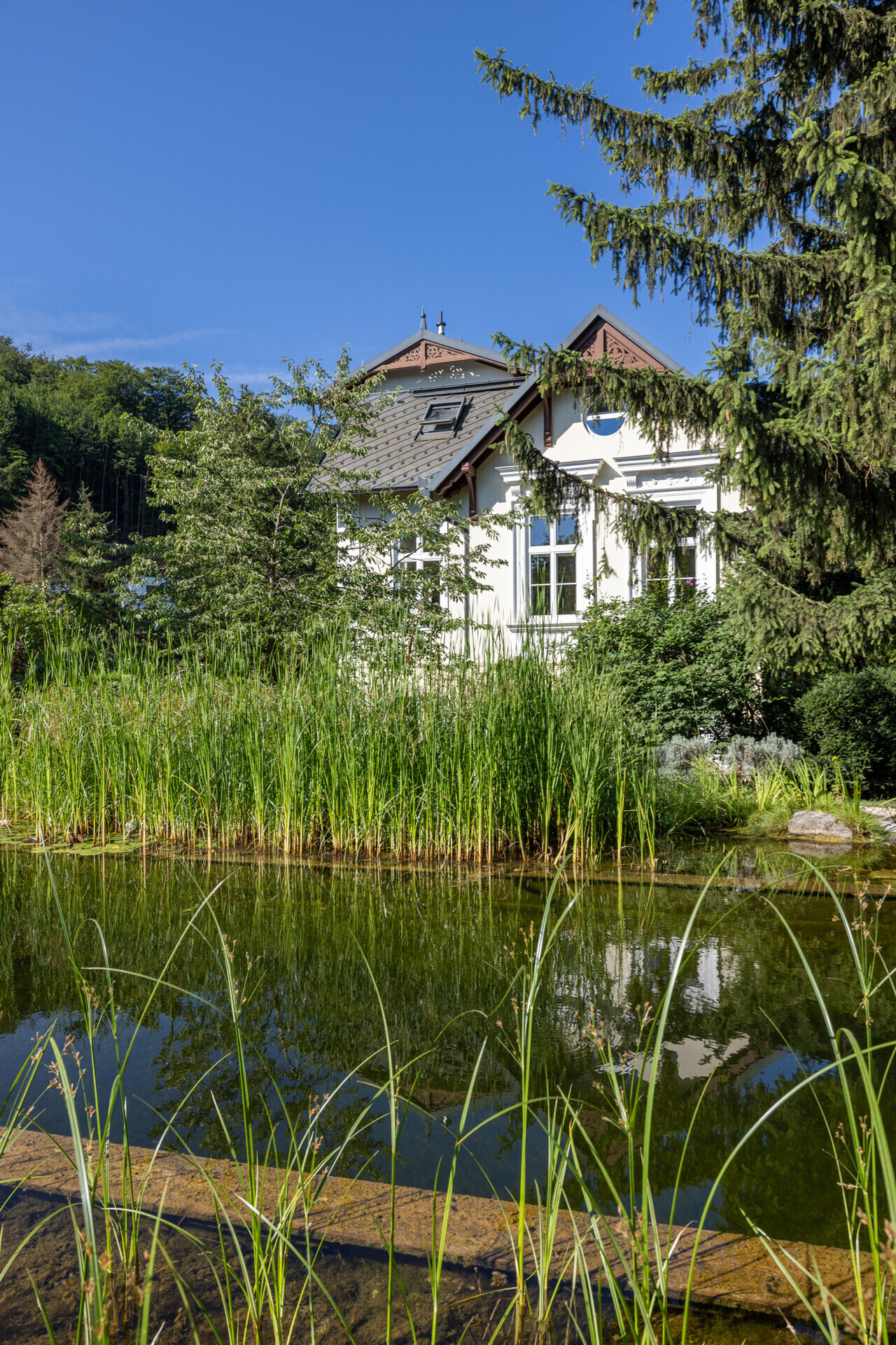5 Ostansicht mit Naturschwimmteich