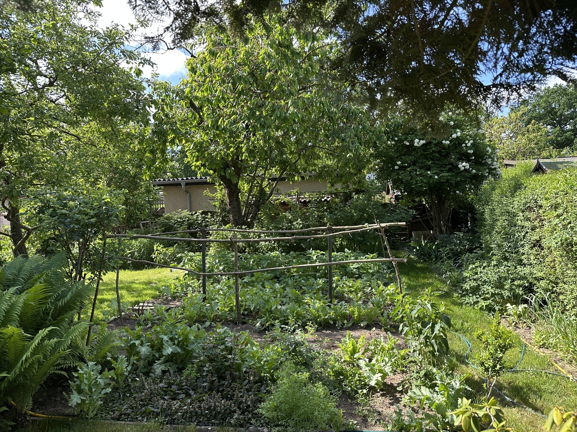Garten