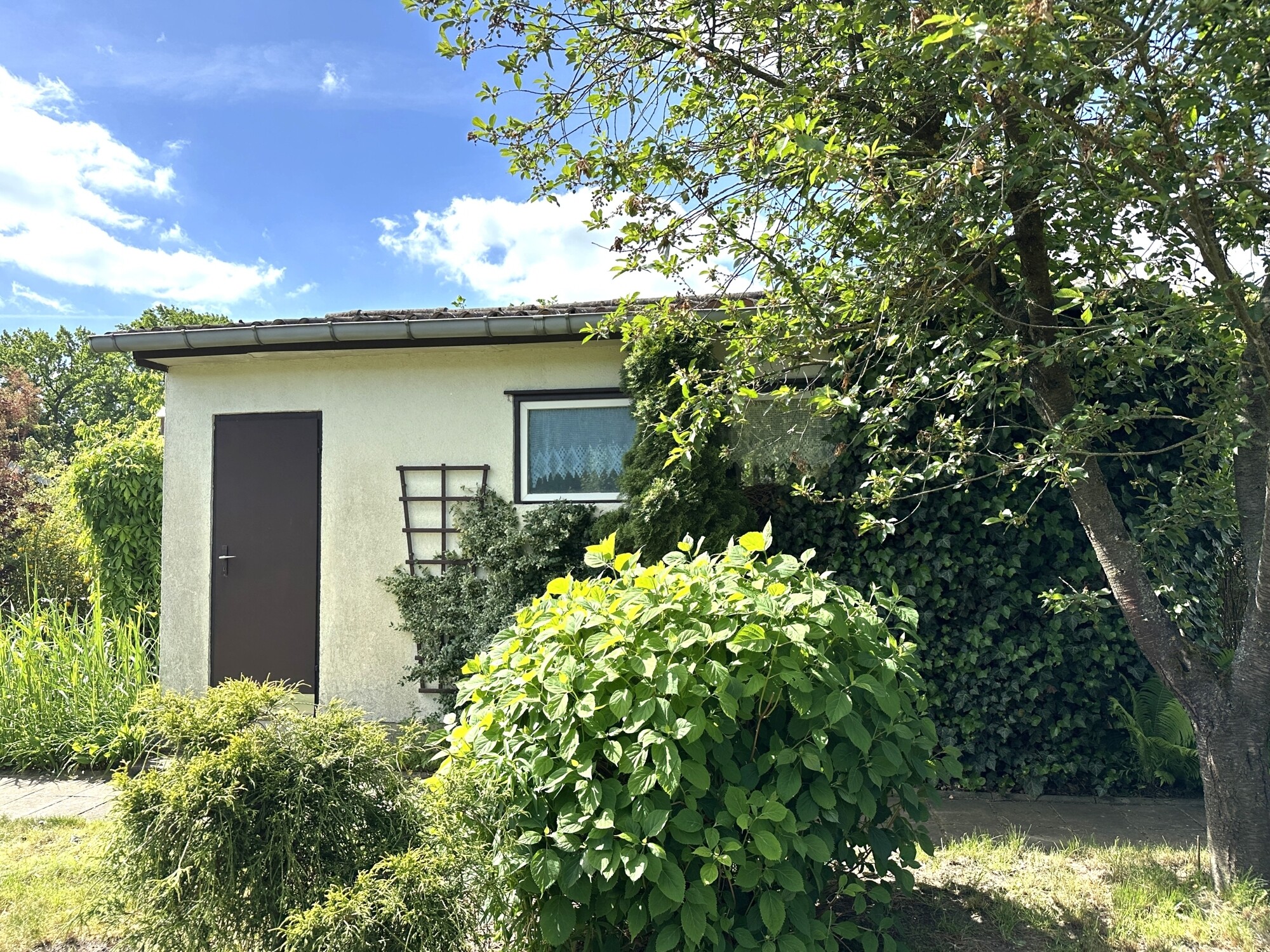Ferienhaus - Rückansicht