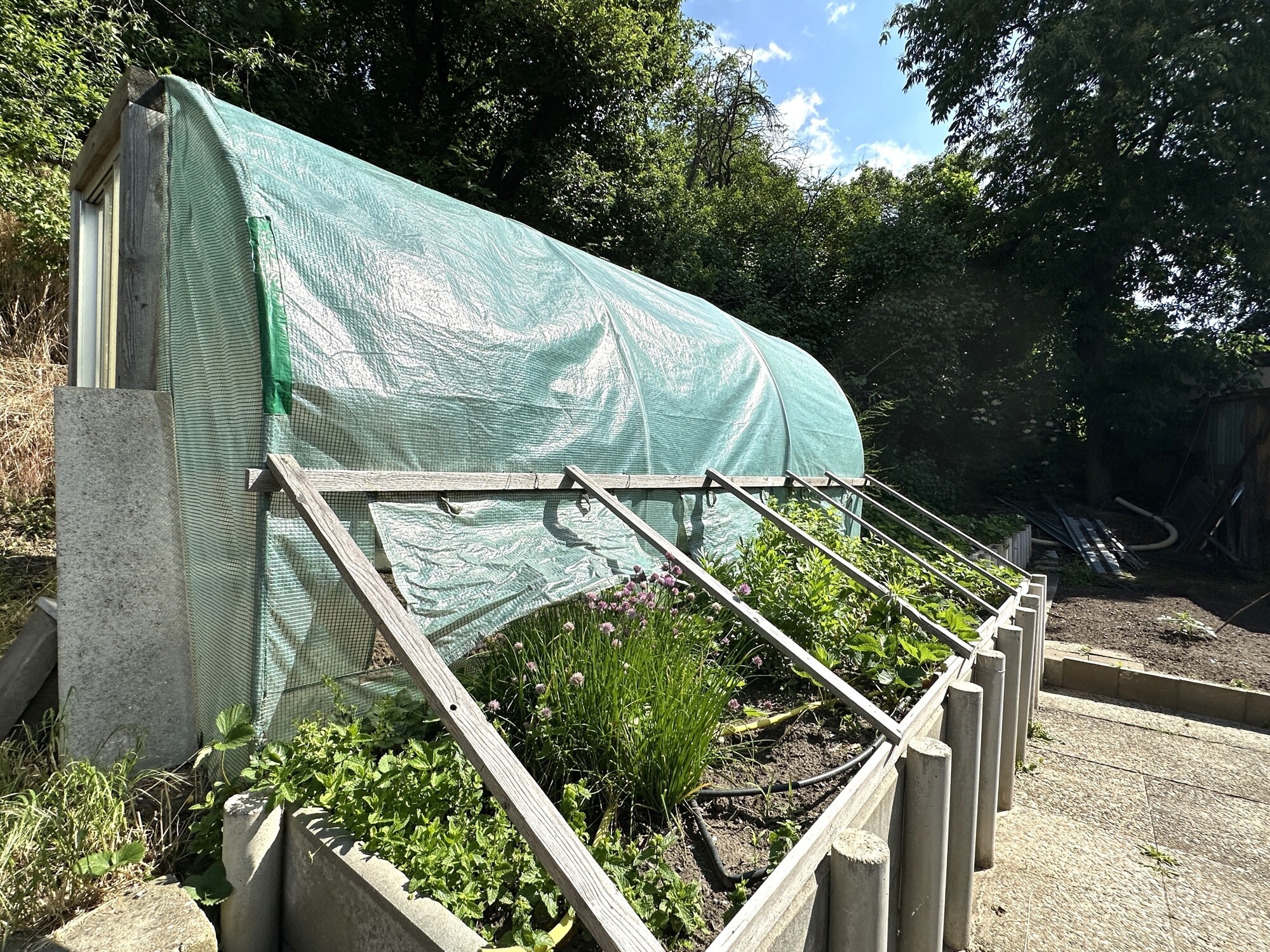 Garten unten