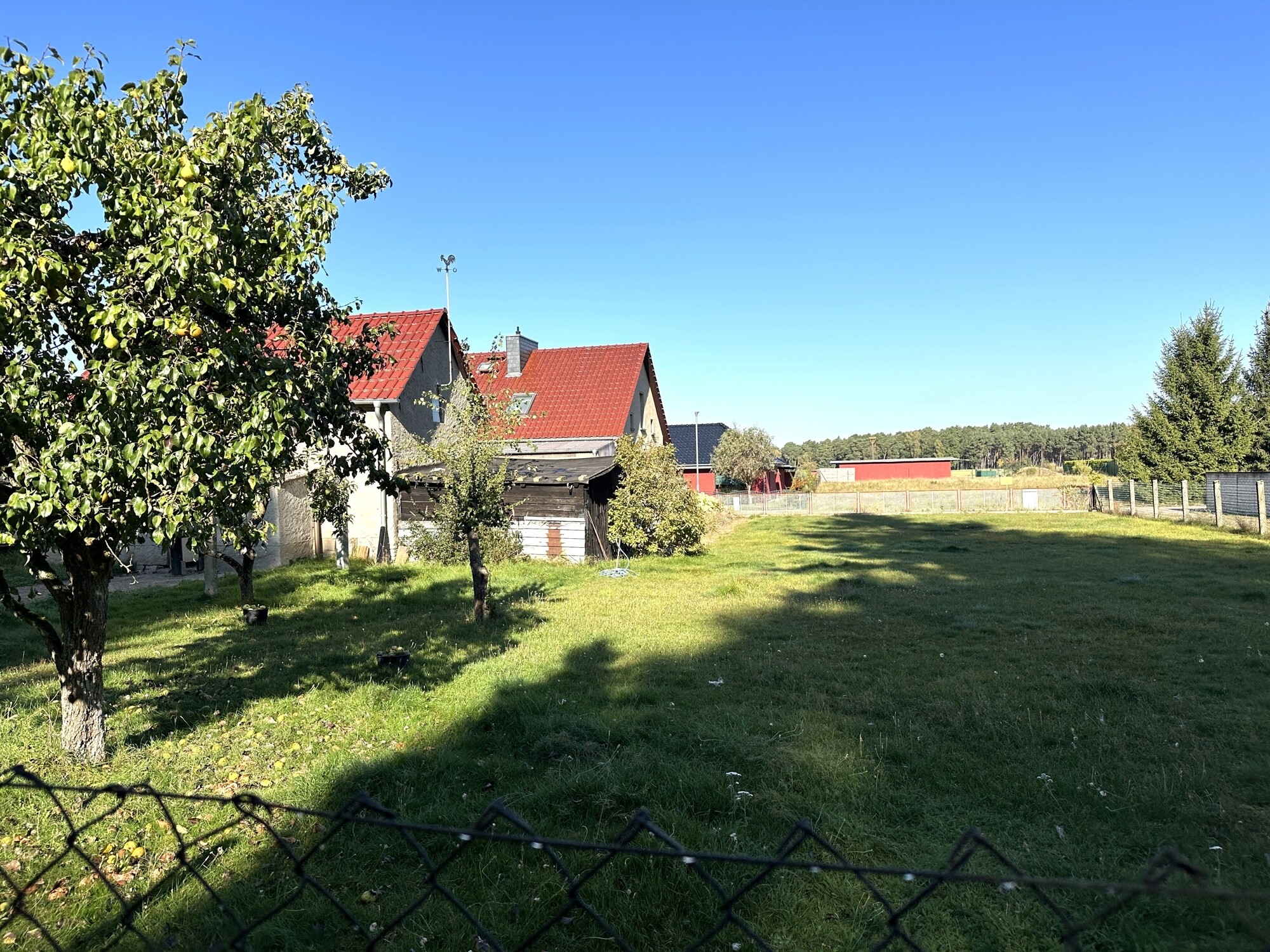 Blick vom Garten zur Straße