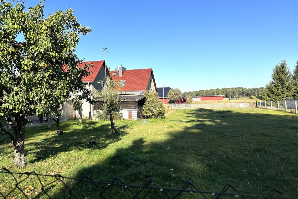 Blick vom Garten zur Straße