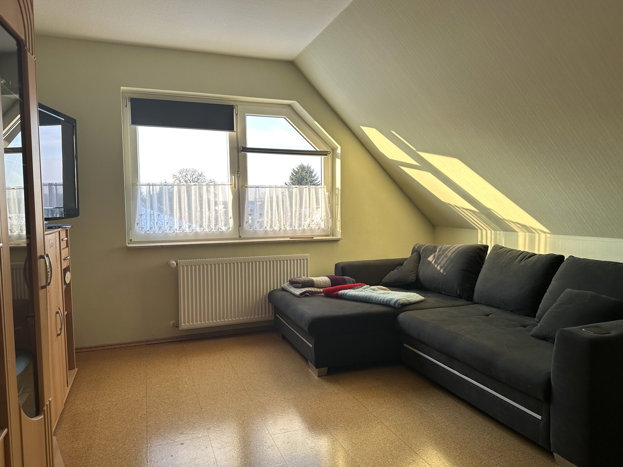Zimmer DG