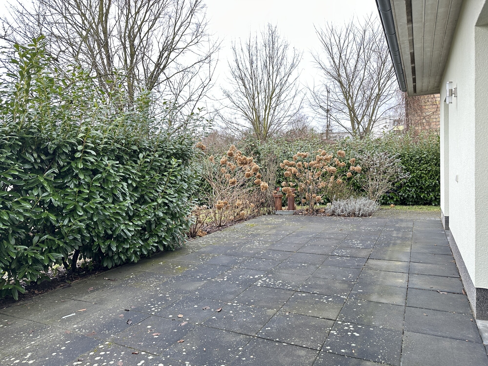 Terrasse 1