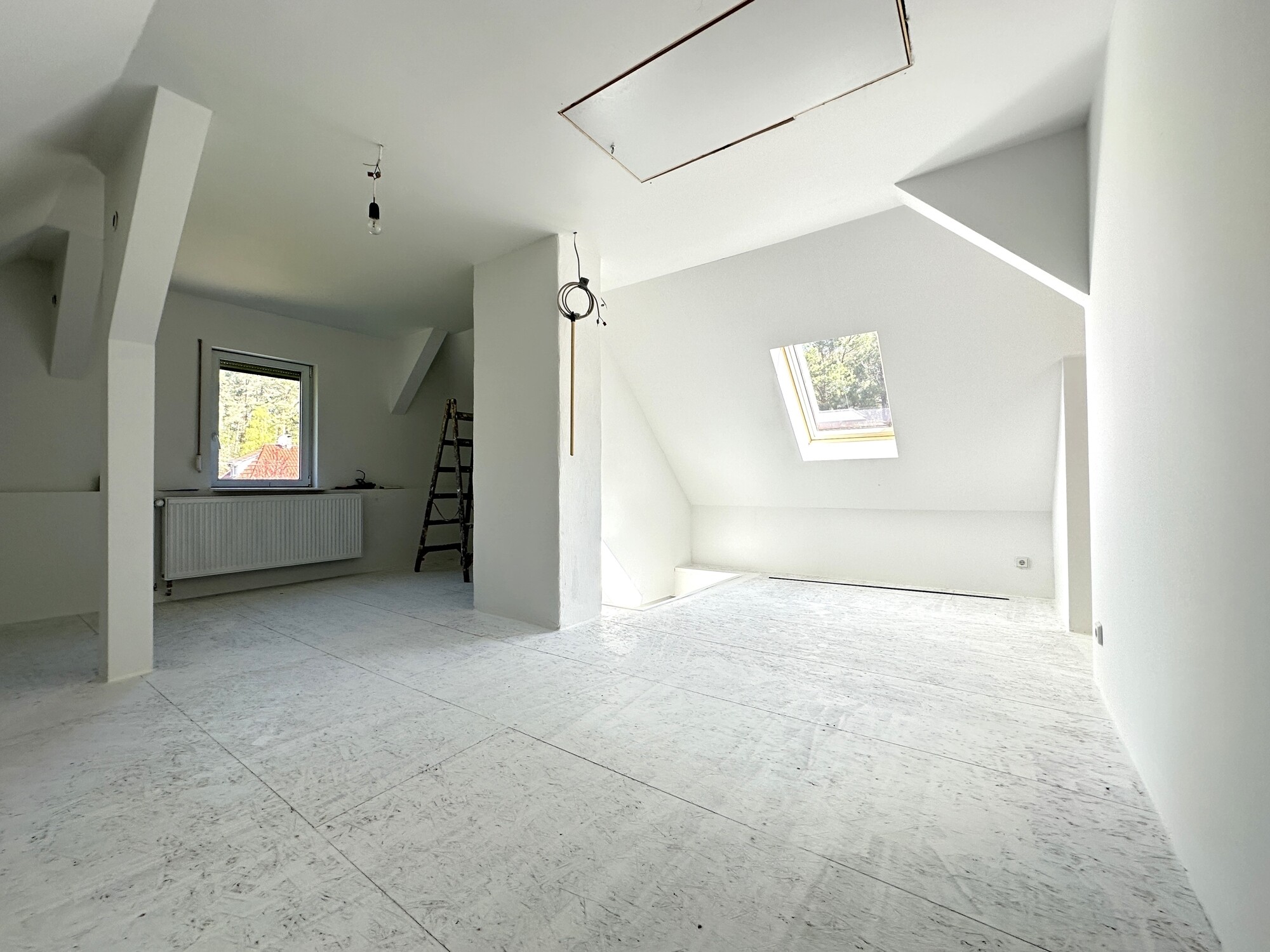 Zimmer DG