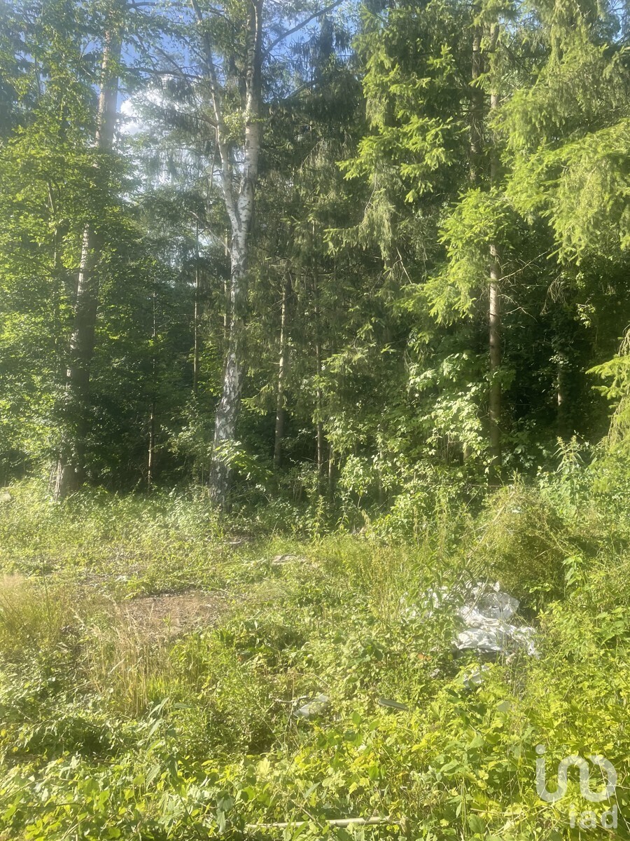 Grundstück rechte Seite hinten