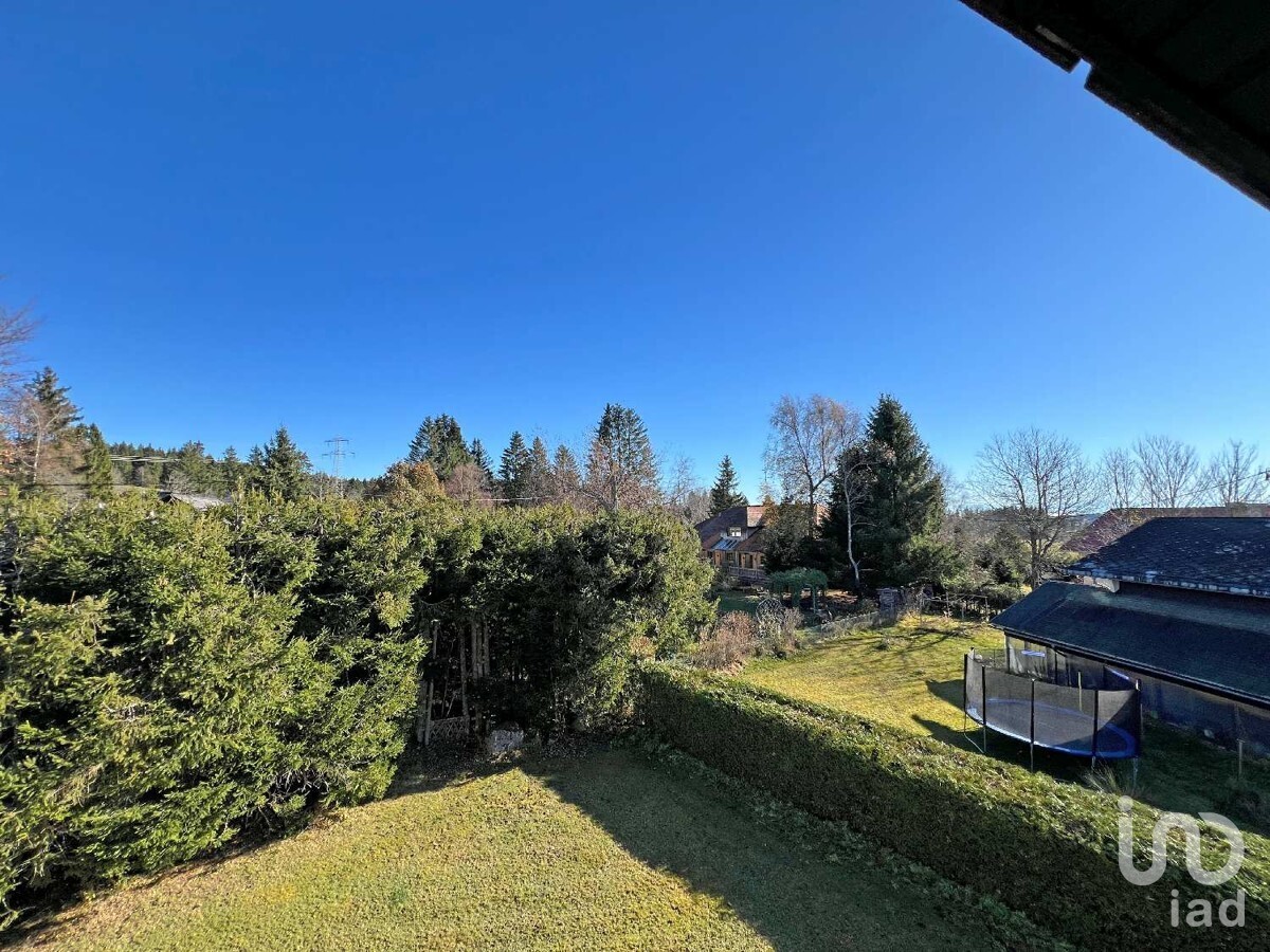 Blick ins Grüne