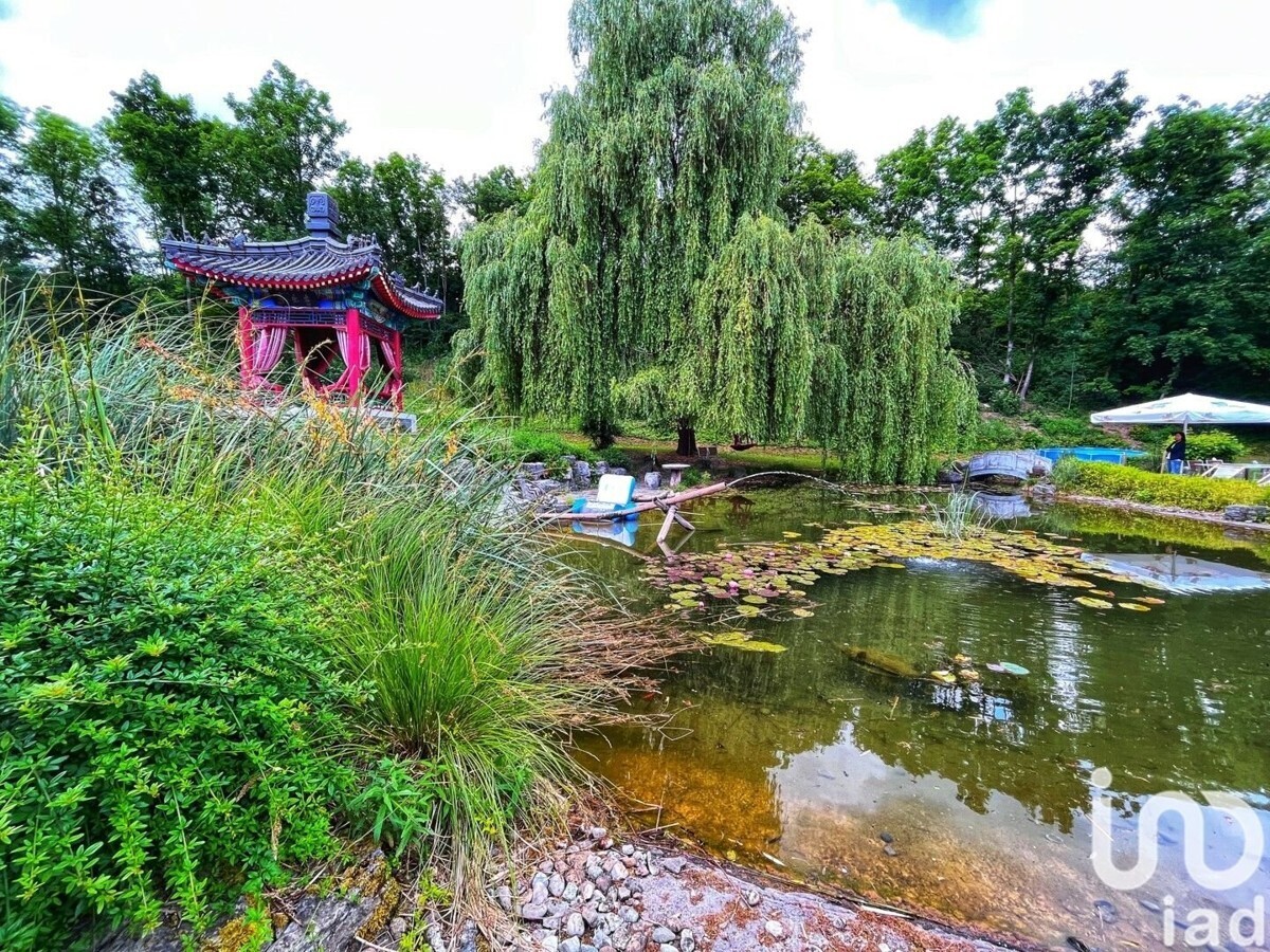 Garten.jpg