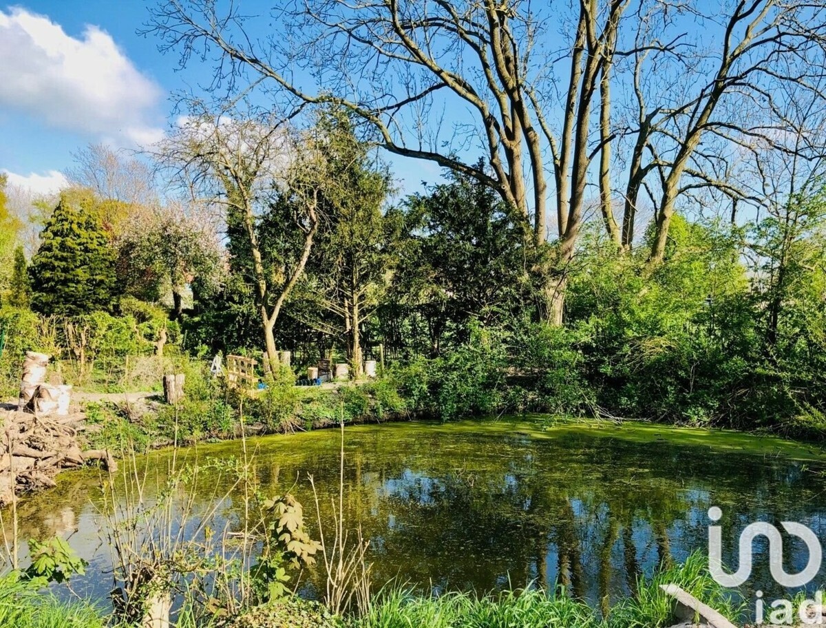 Garten.jpg