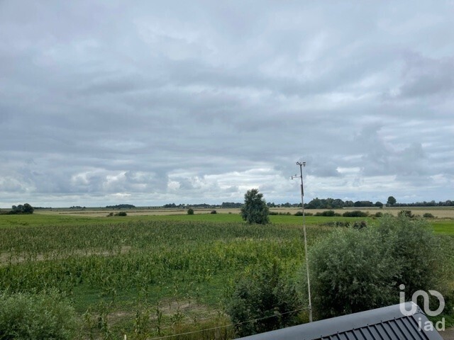 Blick in die Trendermarsch