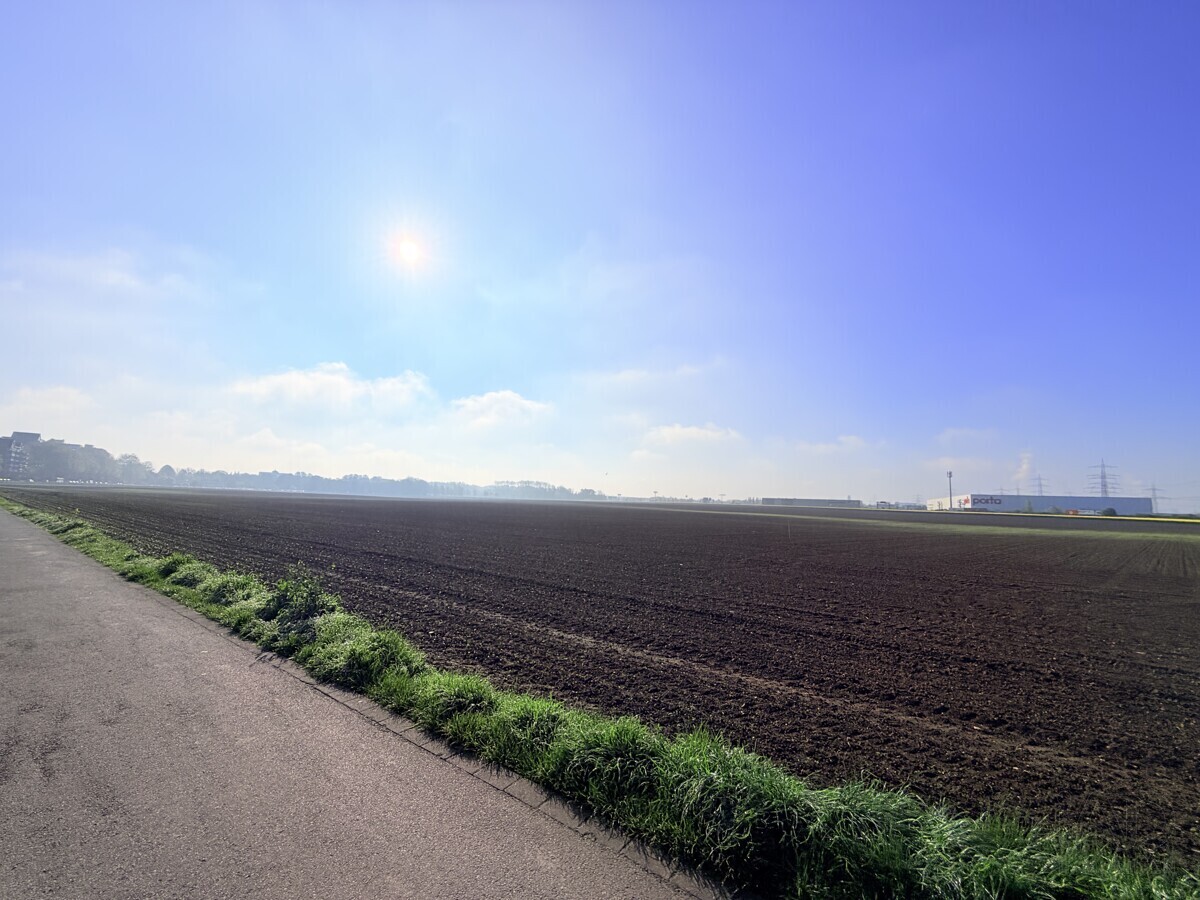 vorne