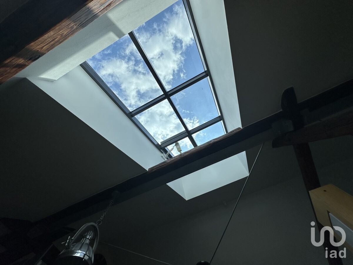 Fenster