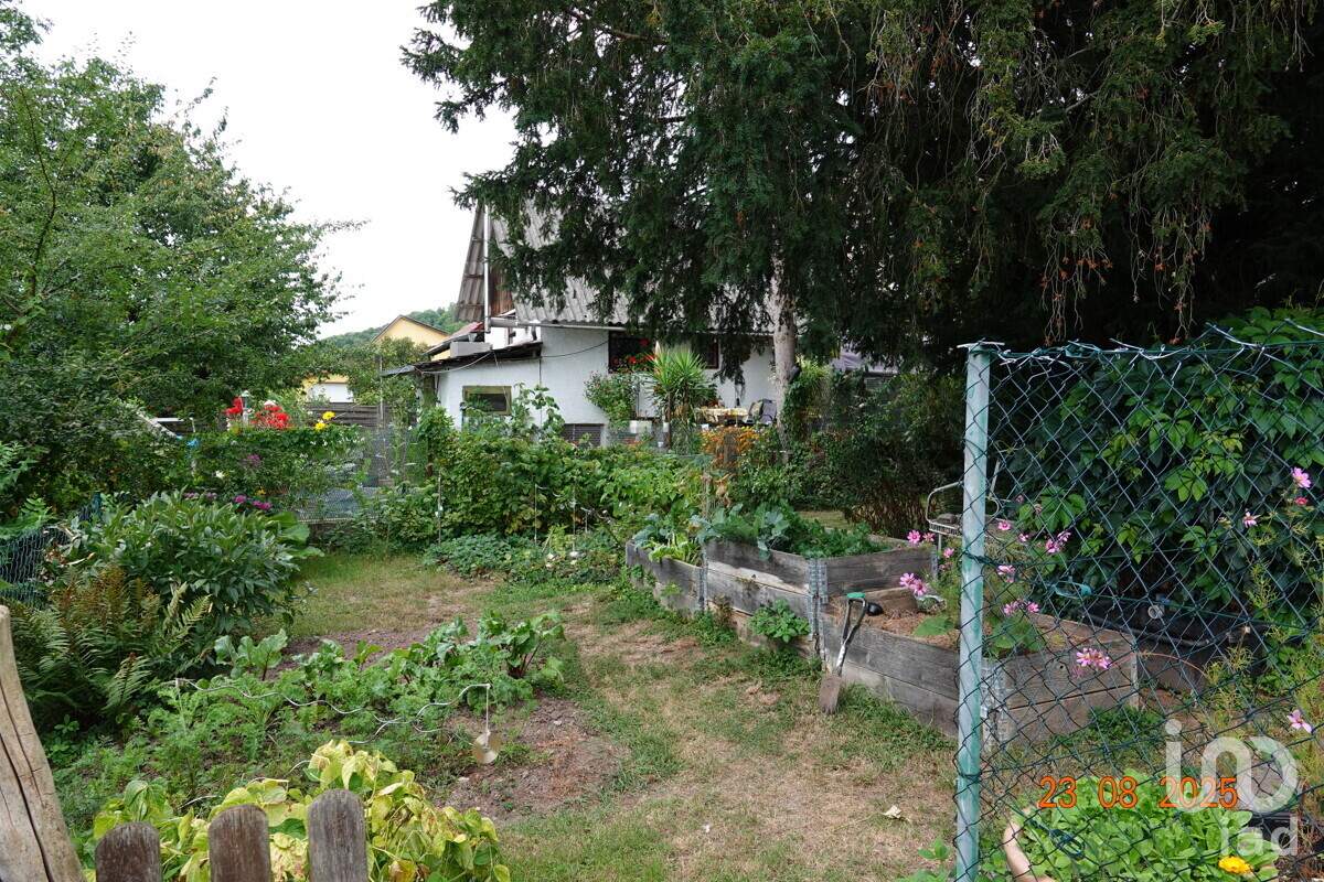 Blick in den Garten