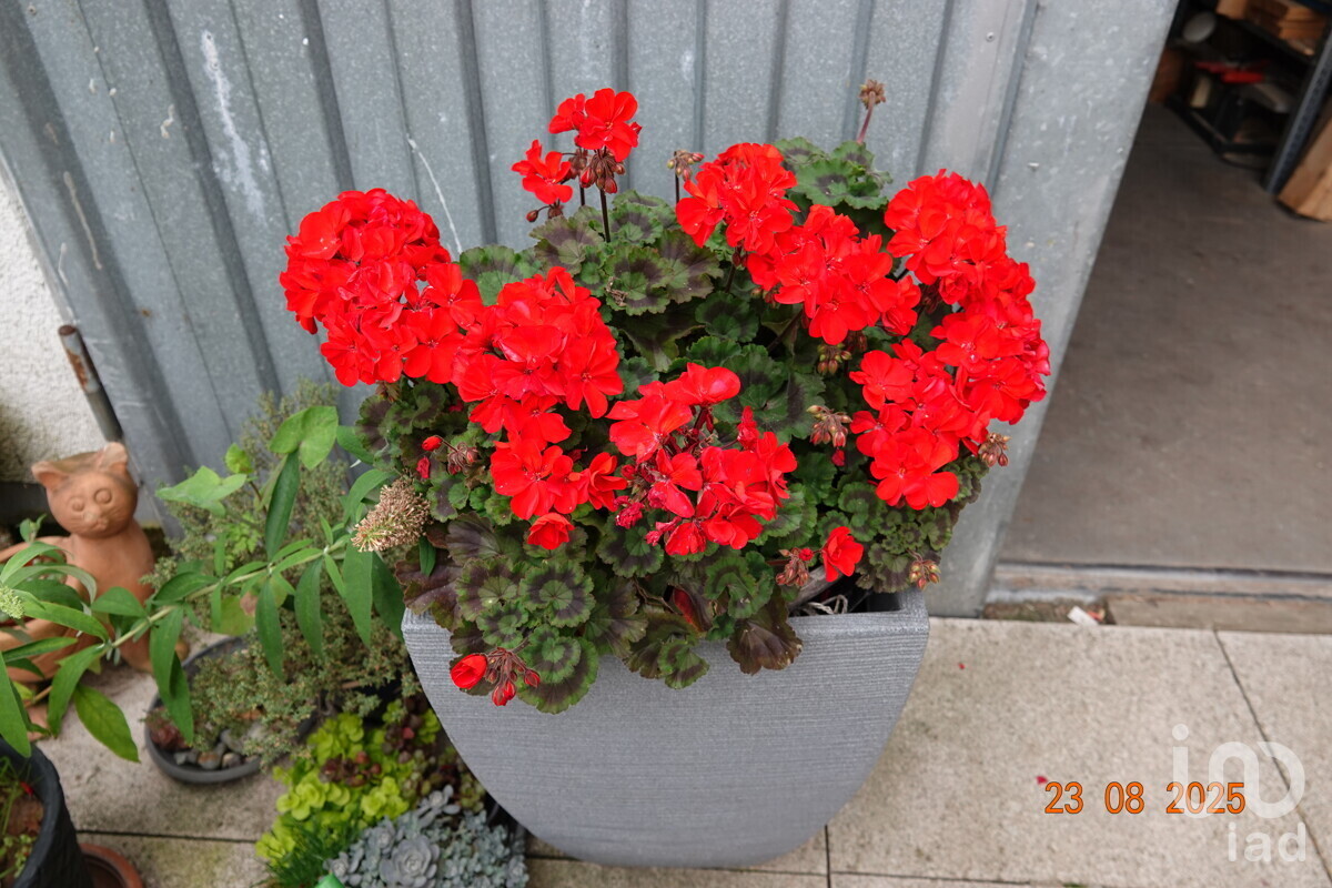 Blumenschmuck